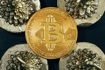 Understanding Cryptocurrency: What You Need to Know