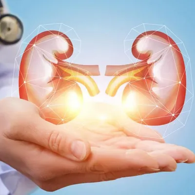 Understanding Kidney Diseases: Symptoms, Causes, and Prevention