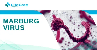 Marburg Virus
