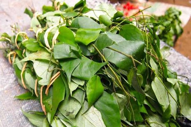 Uziza Leaf And its Health Benefit