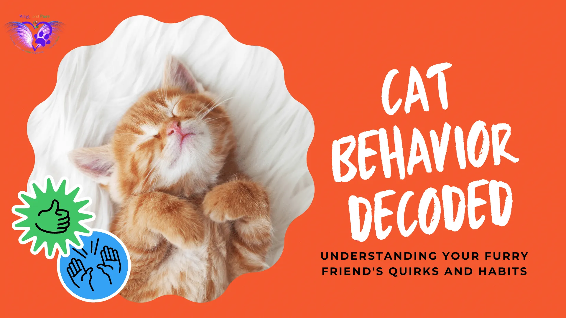 Cat Behavior Decoded: Understanding Your Furry Friend's Quirks and Habits
