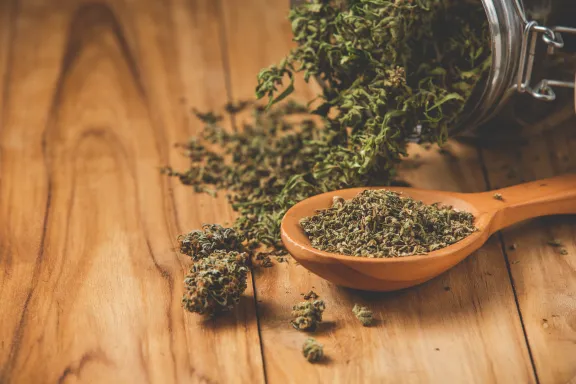 Medical Marijuana for Spinal Cord Disease
