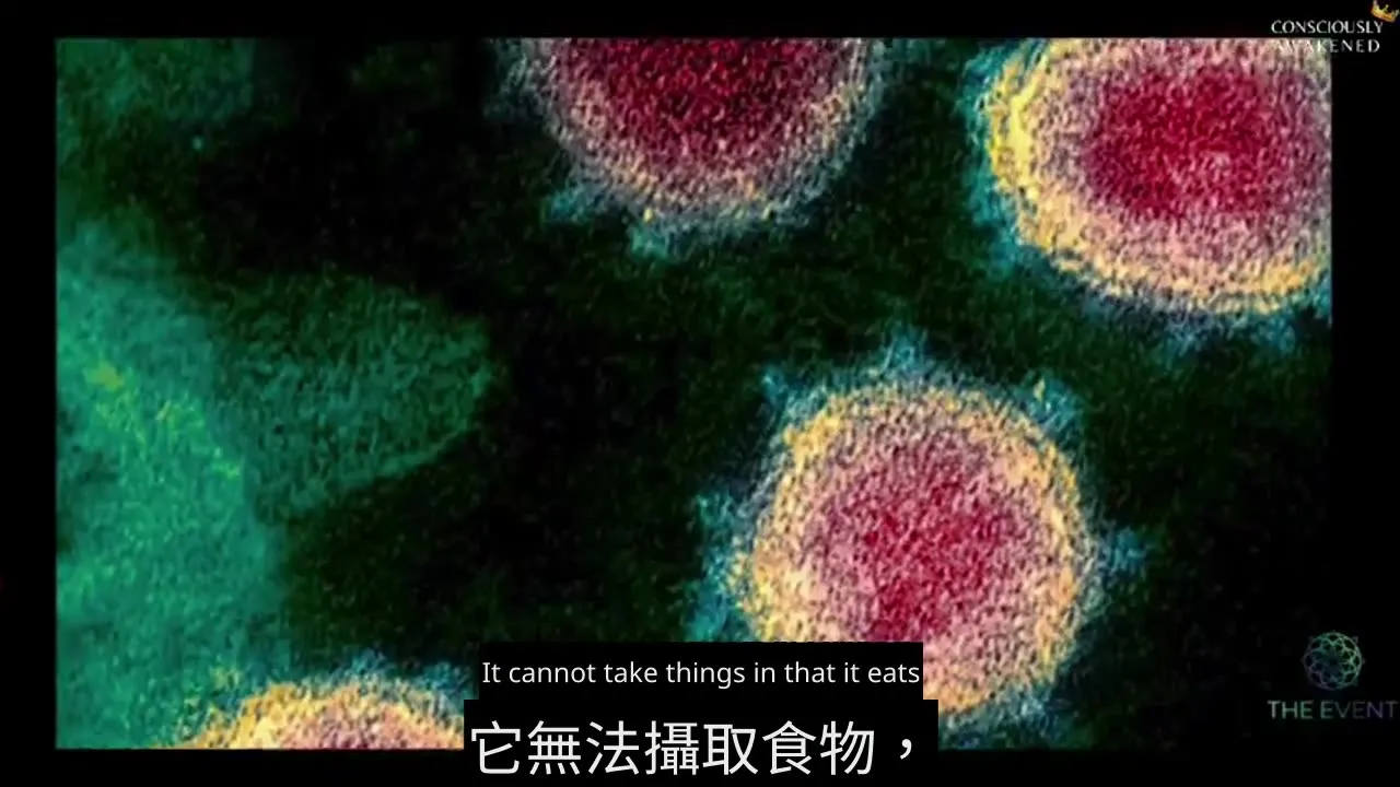 简化复杂的科学话题