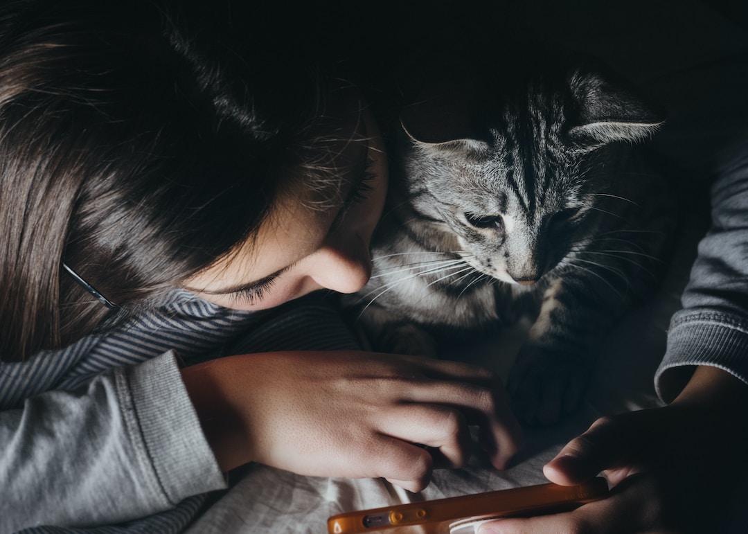 10 Apps for Cat Owners (And their Masters)