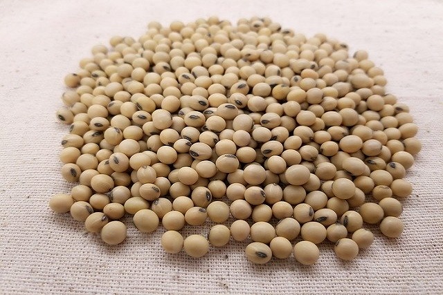 Benefits of Soya Beans to Babies