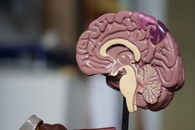 Traumatic Brain Injury – Causes and Symptoms