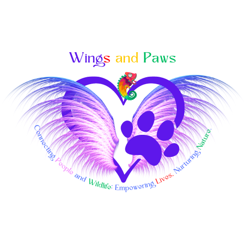 Wings and Paws